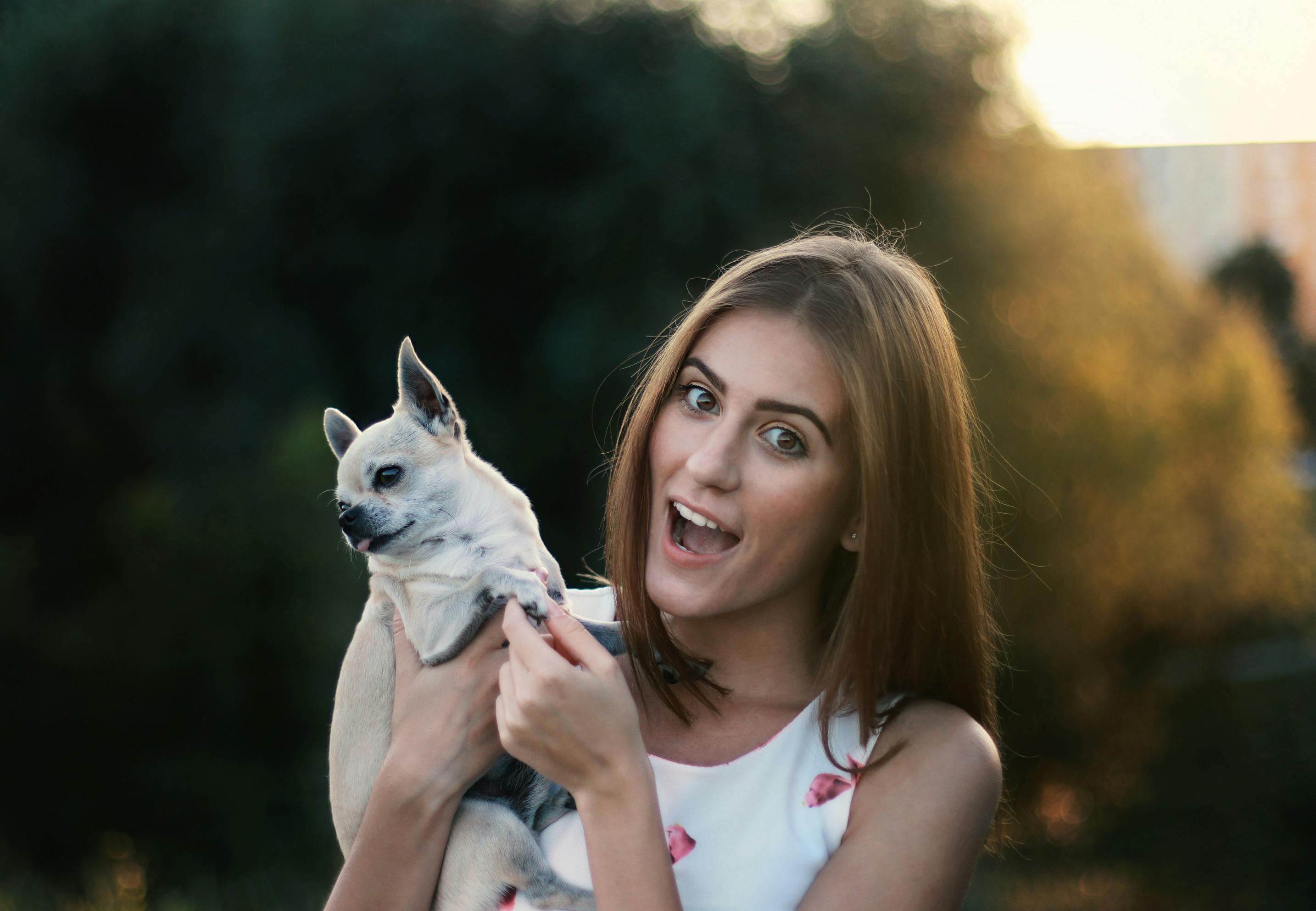 Un perro feliz siendo acariciado por una persona
